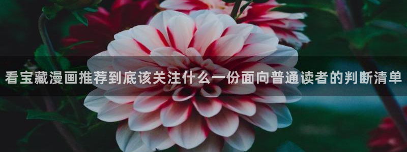 免费看漫画网站大全